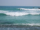 surf dalawella