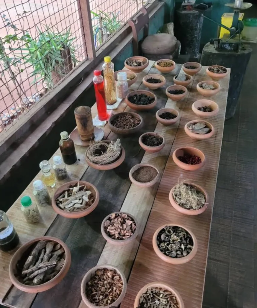 Traditional spice garden with Ayurvedic herbs in Matale, Sri Lanka