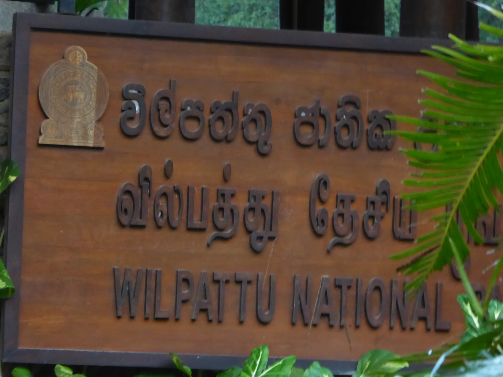 Colombo to Wilpattu