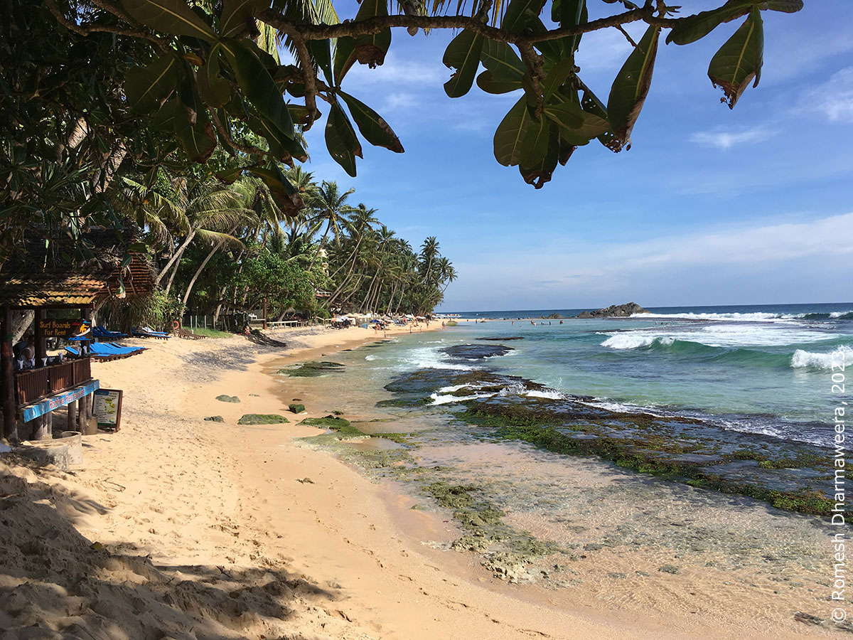 beach dalawella