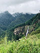 bambarakanda