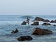 stilt_fishing
