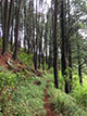 trekking_thangamale