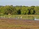 marabus Yala National Park